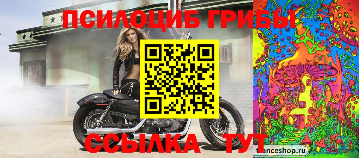 Псилоцибиновые грибы прущие грибы  Вход с VPN  Елизово 